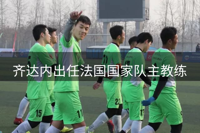 齐达内出任法国国家队主教练